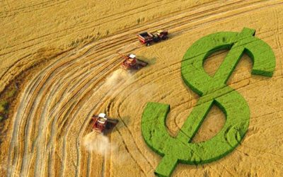 Clima seguirá como fator importante na formação de preços agropecuários, diz Ipea