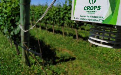 Embrapa Uva e Vinho lança ferramentas para viticultura de precisão: Crops – Sistema de Monitoramento de Doenças e Aplicativo Uzum Uva