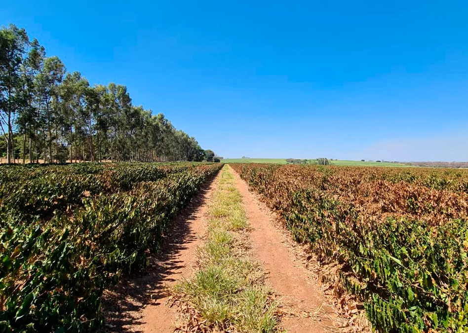 Fatores climáticos levaram à queda do PIB, diz secretaria